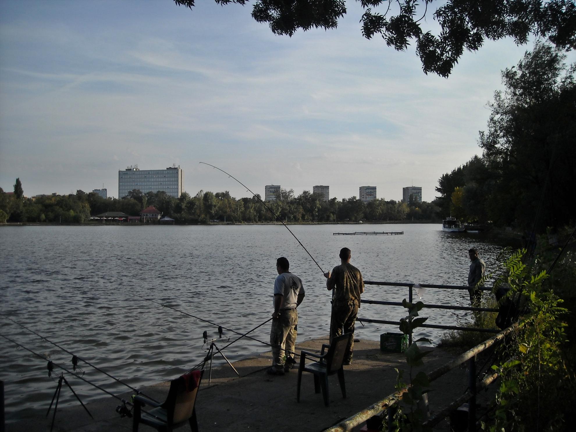 Cupa Bucovina - Floreasca 2010 - dscn8662.jpg